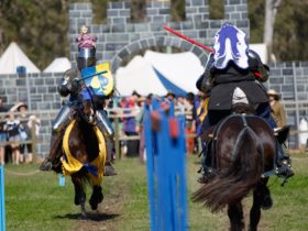 The excitement of the Joust!