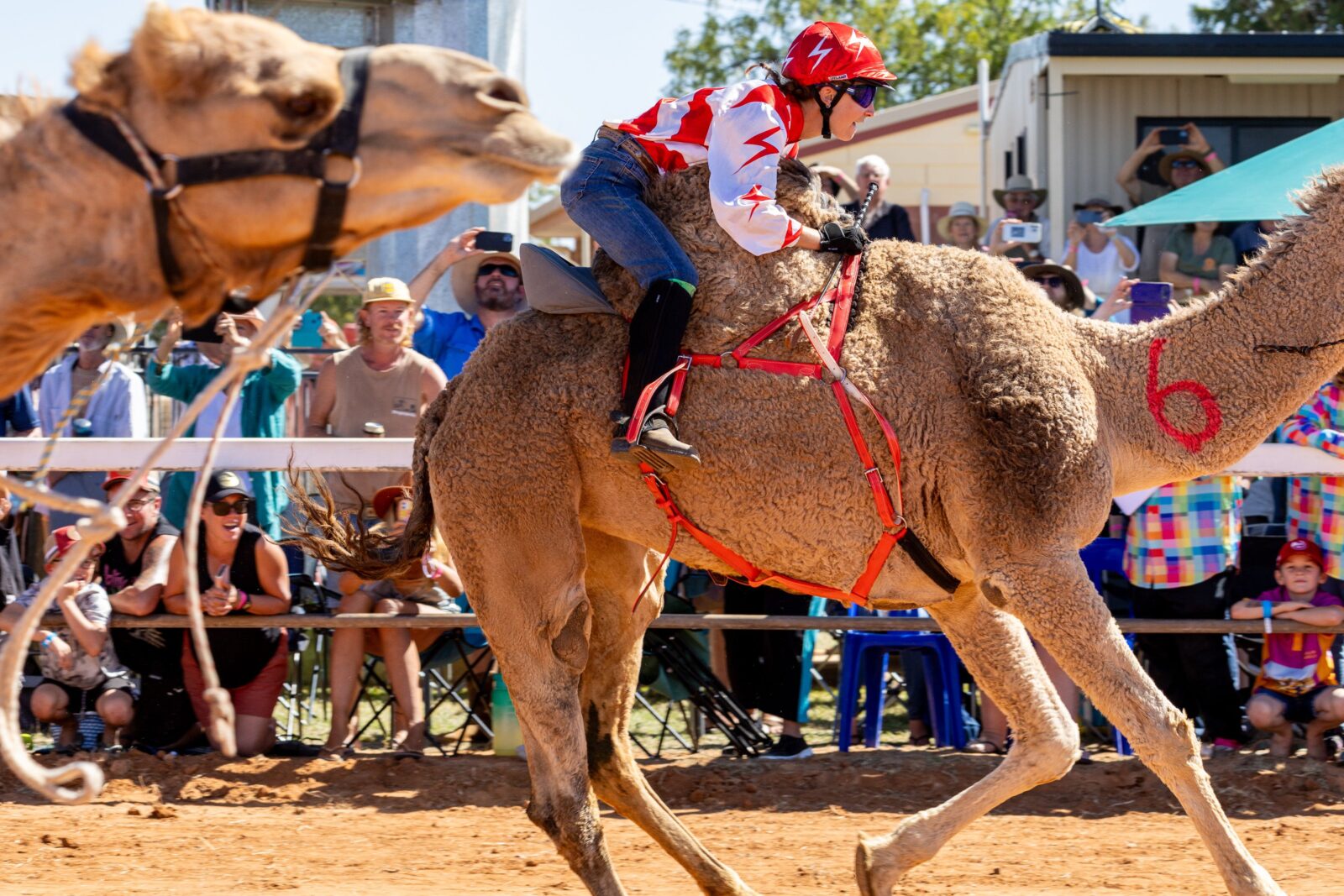 Boulia Camel Races in the Land of the Min Min Light