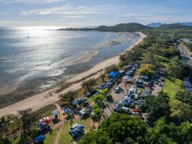Aerial view of the market stalls and cars along a beautiful beach, greenery and calm ocean waters