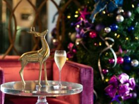 Glass of Champagne with festive decorations