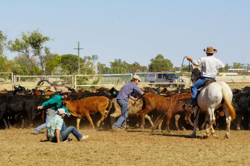 The Drovers Camp Festival- Camooweal