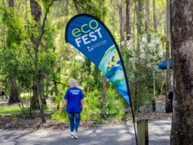 Ecofest tear drop banner in front of Botanic gardens