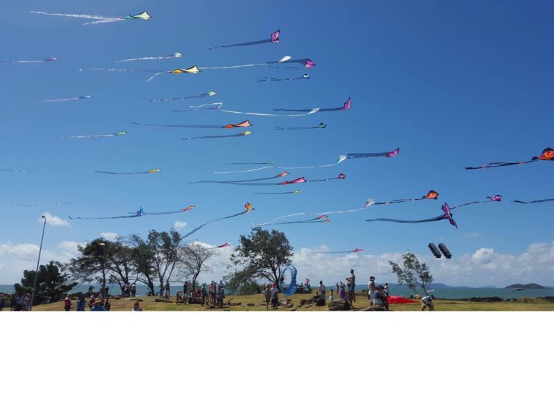 Simple pleasures of kite flying