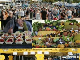 Feast of the Senses Australian Banana Market Festival