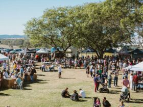 A crowded audience gathered at the Femented Food Festival