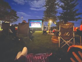 Movies in the Park at Manly