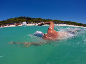Hamilton Island - Whitehaven Beach Ocean Swim
