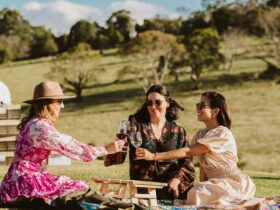 3 ladies sittig down having a picnic while saying cheers with wine in their hands.