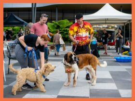 Ipswich's premier day where the community and their furry best friends gather to have fun.
