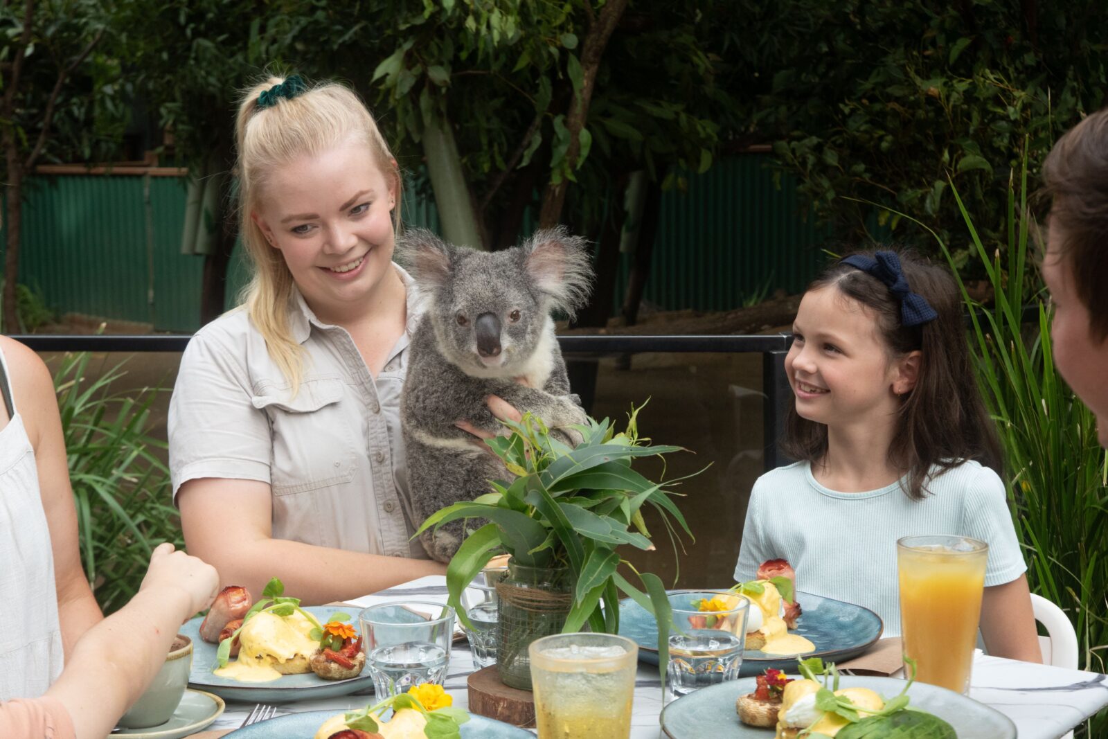 Family enjoying Koala breakfast while the keeper introduces a koala