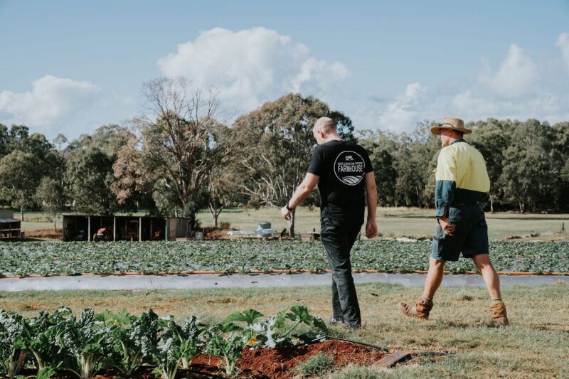 A chef and a farmer walking in the strawberry fields