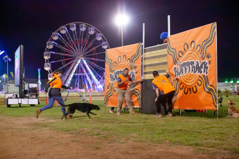 Farmer Dave performing at the 2023 Rockhampton Agricultural Show with his dogs in Centre Ring
