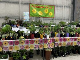 Garden Club Stall