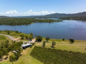 Drone shot from Wyaralong Dam overlooking The Overflow Estate and vineyard