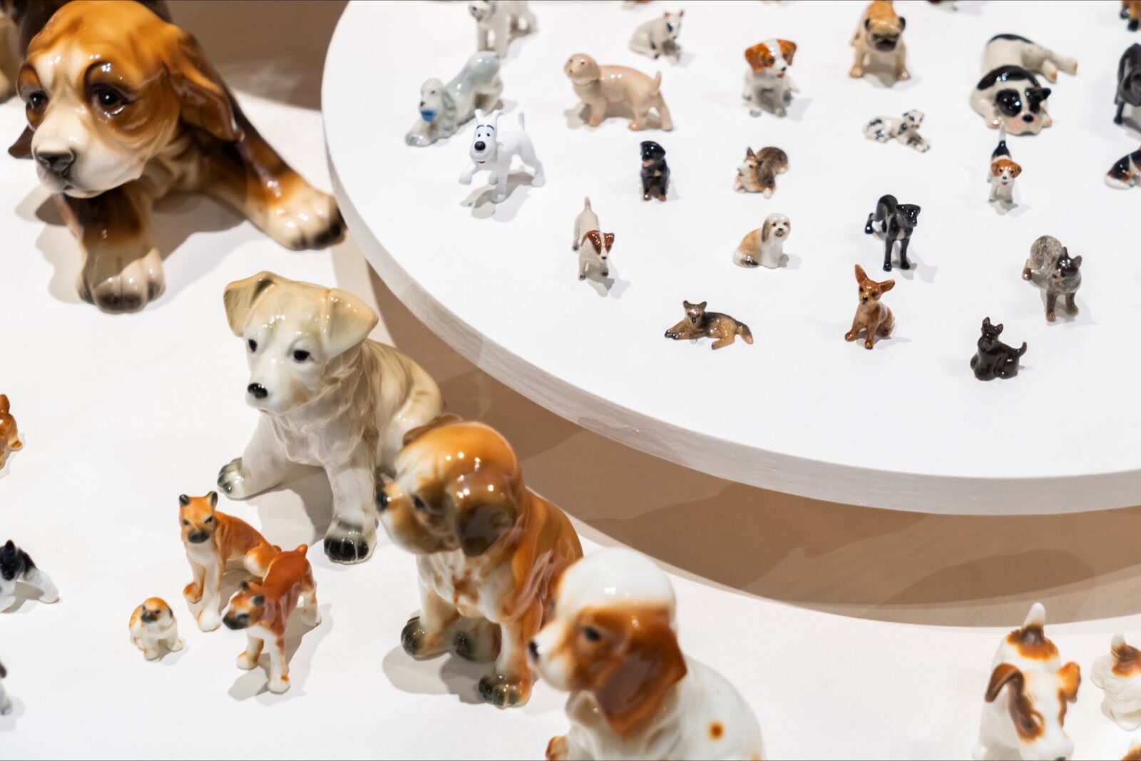 A photo of a collection of small ceramic dogs
