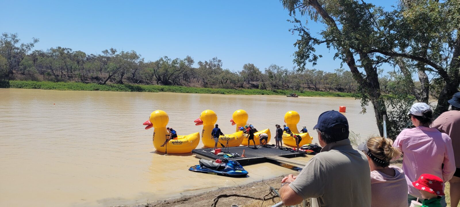 Inflatable ducks on the thomson River
