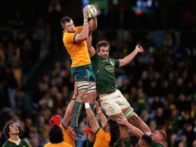 Wallabies and South Africa contesting a line out