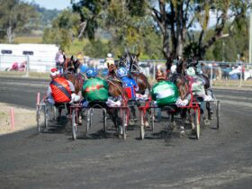 Horses and buggy's racing