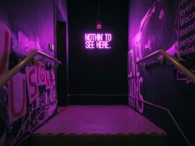 Picture of Neon Lights with the words 'Nothin' to see here'
