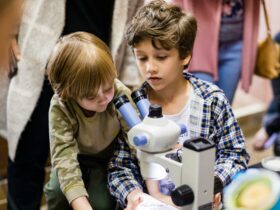 Two young boys look into a microscope