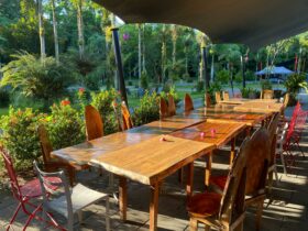 Long timber table in sunlit outside restaurant under canvas area at Daintree Siesta