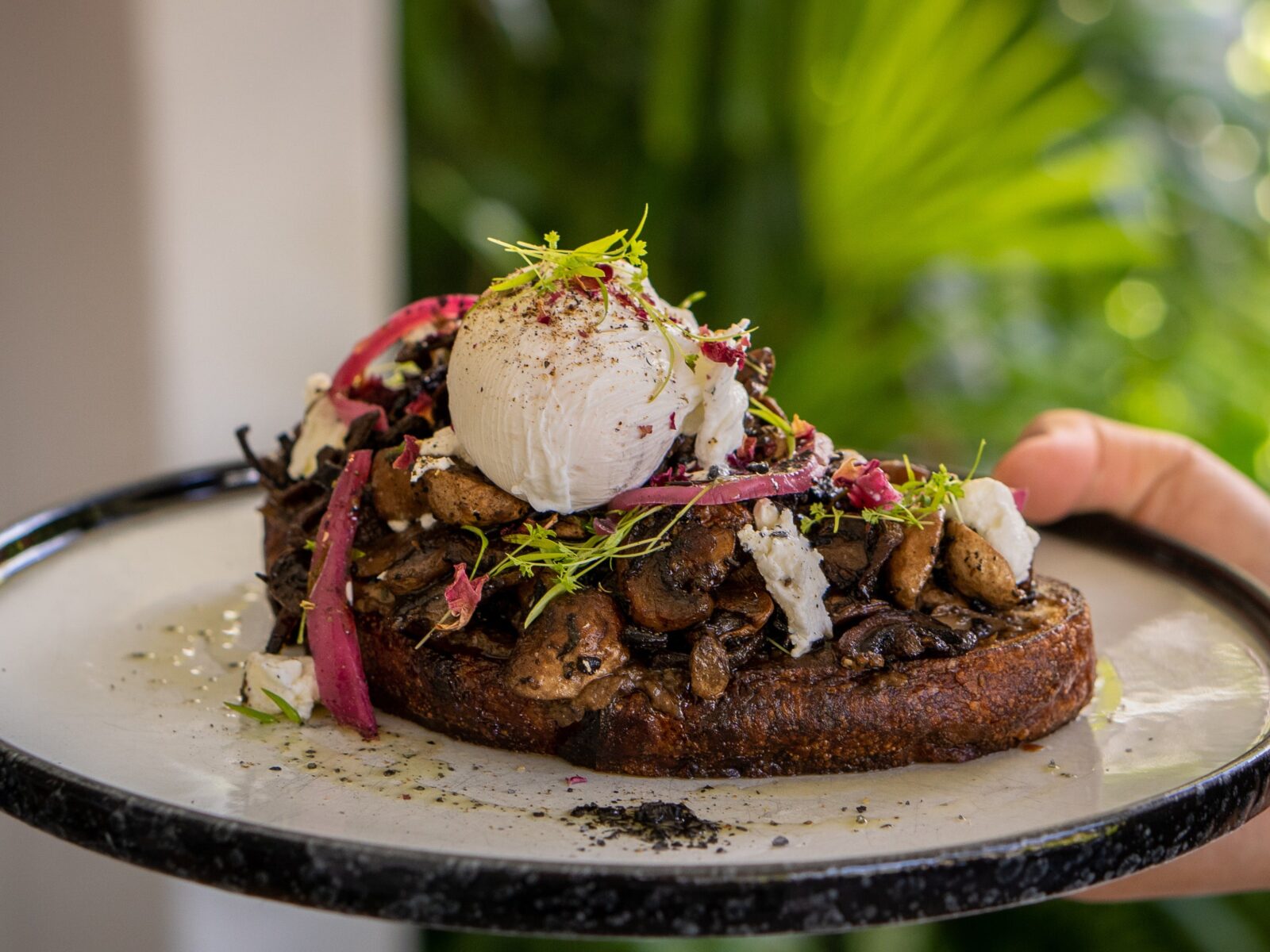 The Truffle Mushrooms dish is held up in front of greenery. Topped with a poached egg