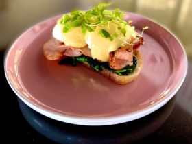 Eggs Benedict with Bacon - Brunch