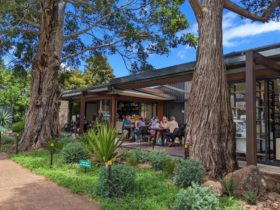 Picnic Real Food Bar Mount Tamborine Gold Coast Hinterland Scenic Rim