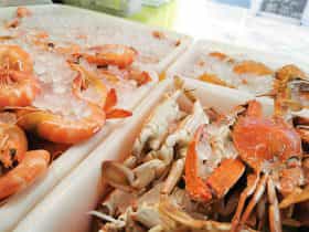 A range of our local trawler's catch of prawns, bugs and sand crabs.