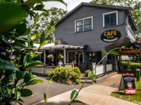 Tamborine Mountain cafes