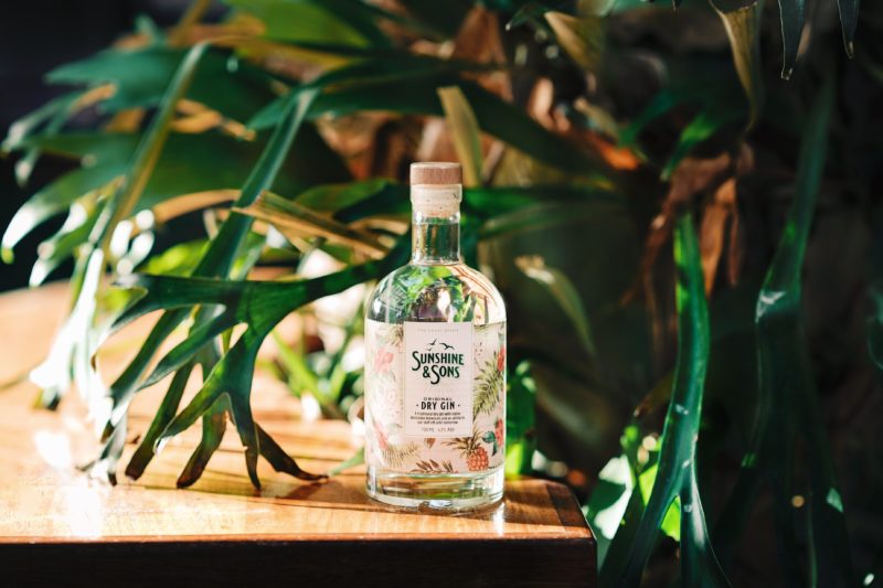 A bottle of our Original Dry Gin surrounded by leaves