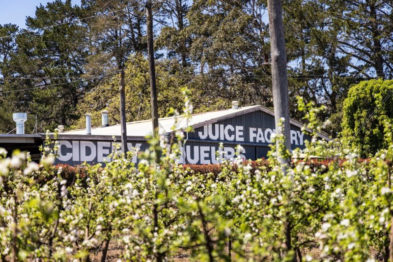 Suttons Juice Factory and Cidery