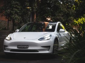 a white tesla parked with trees around waiting to be hired