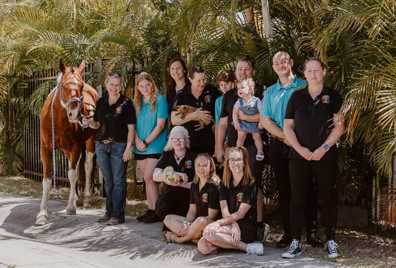 team photo showing some of the animals used in therapy- horse, snake, dog