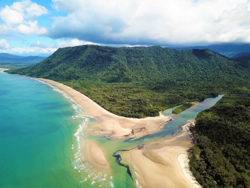 Daintree Day Tours