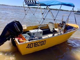 50hp fishing / cruising boat - up to 3 persons