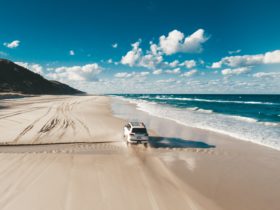 Beach Driving