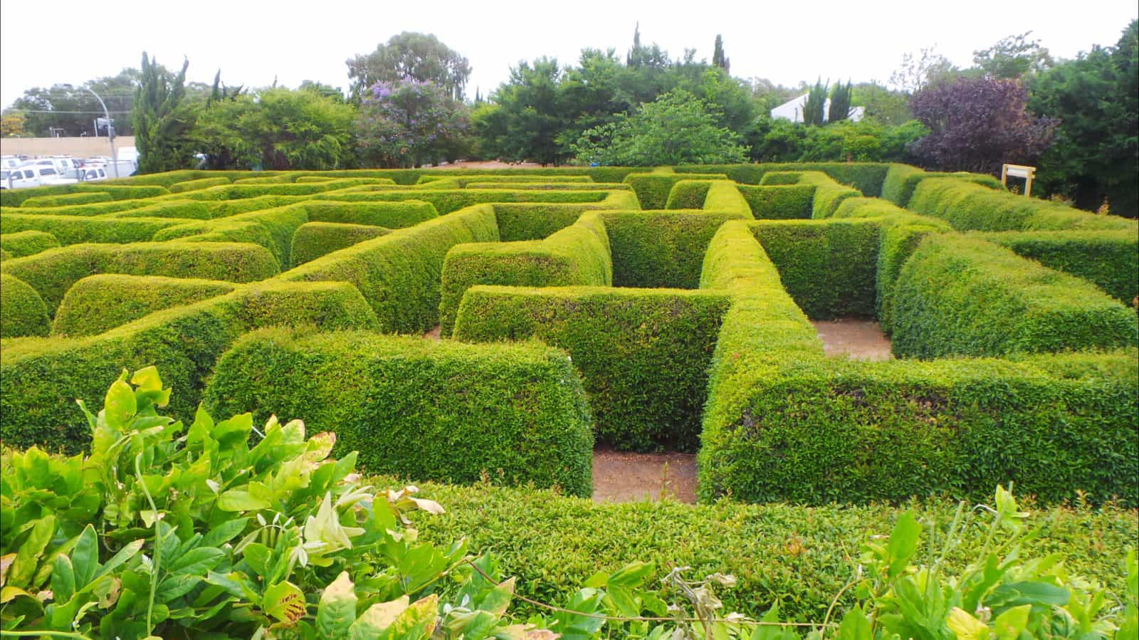Tanawha - Bellingham Maze