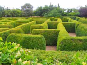 Tanawha - Bellingham Maze