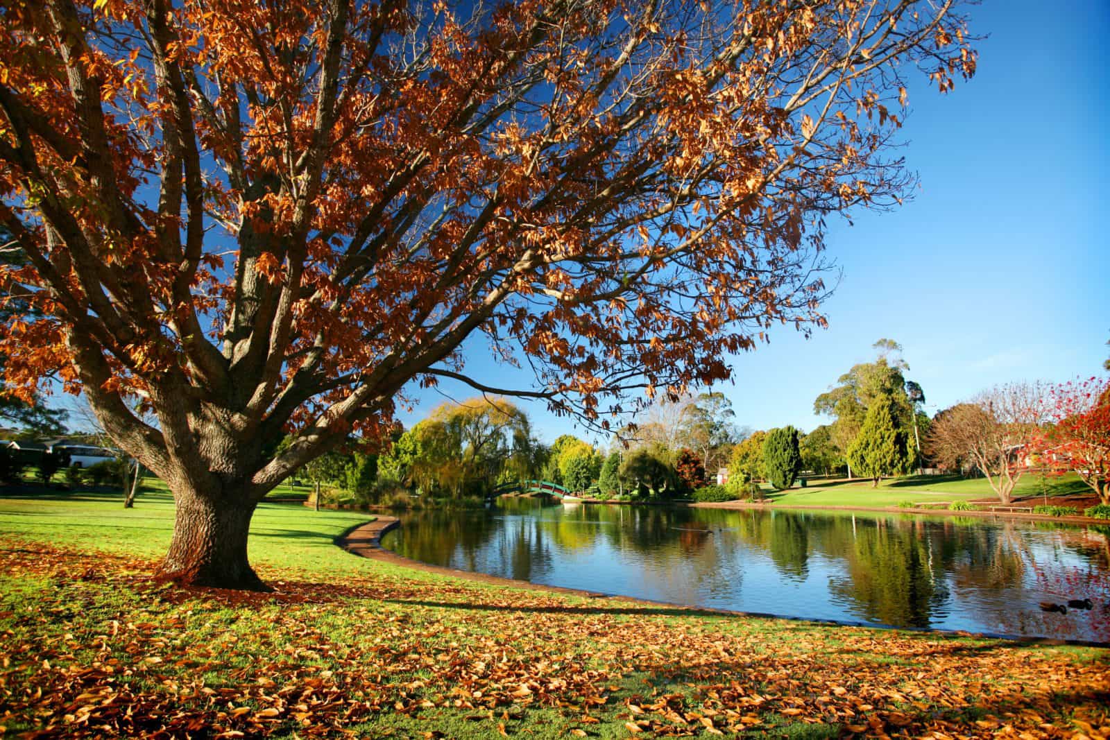 Autumn, Toowoomba