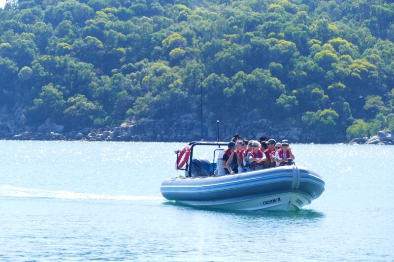 boat tour magnetic island