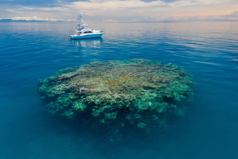 A Riveria on the Great Barrier Reef