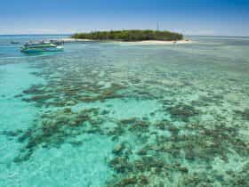 Green Island Great Barrier Reef Tours