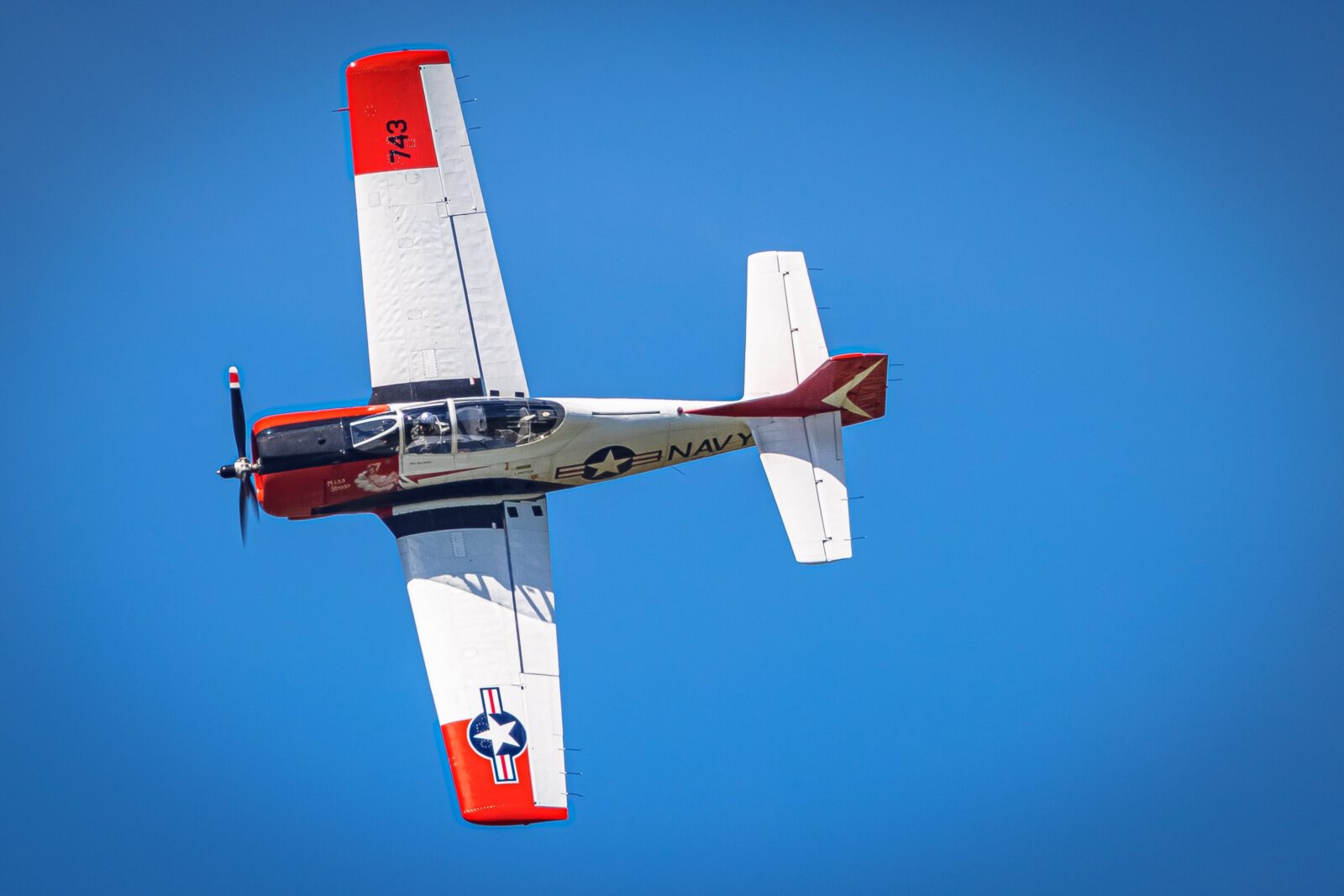 The Trojan is a powerful, high performance aircraft capable of aerobatics and high-speed flight.