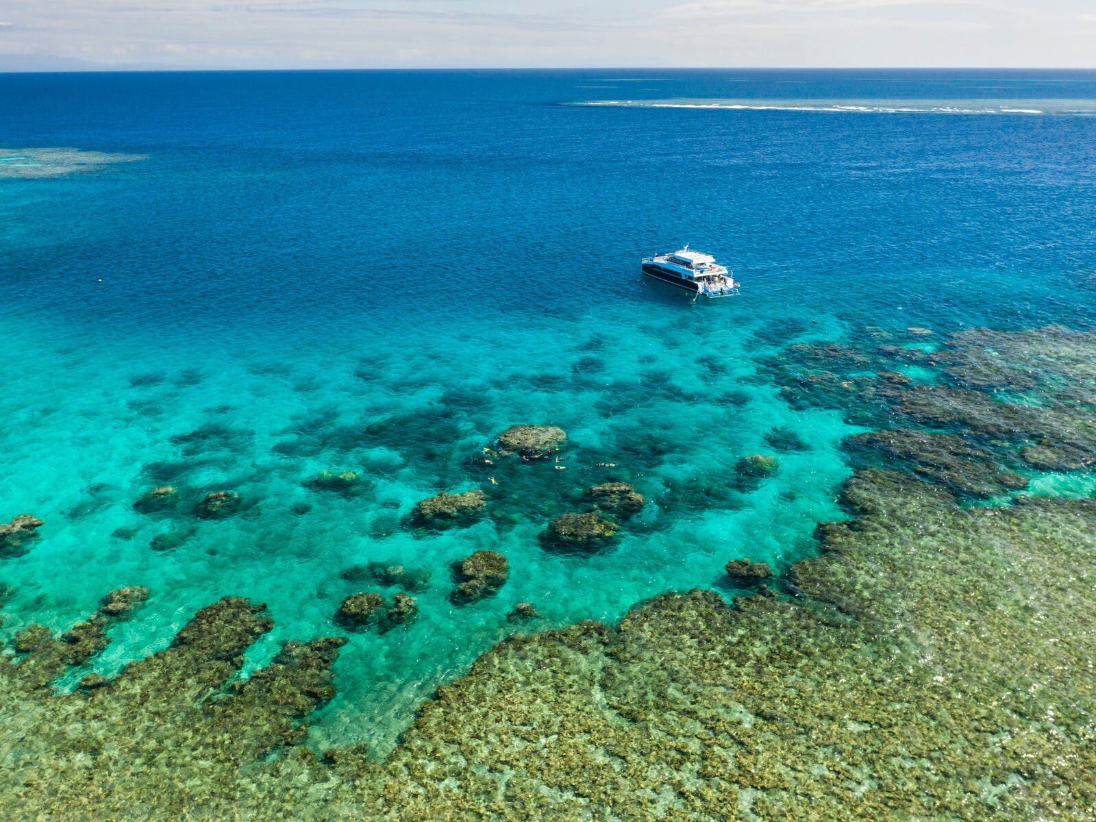 Calypso Reef Cruises - Port Douglas