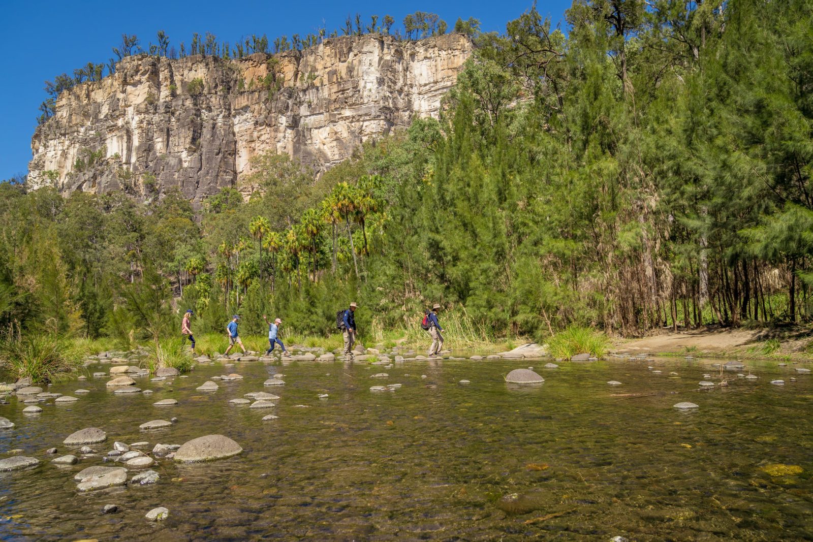 Tour group crosses a crystal clear creek at Carnarvon Gorge, with soaring sandstone cliffs behind.