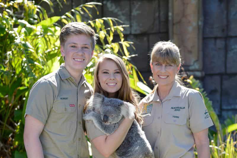 Cuddle a Koala