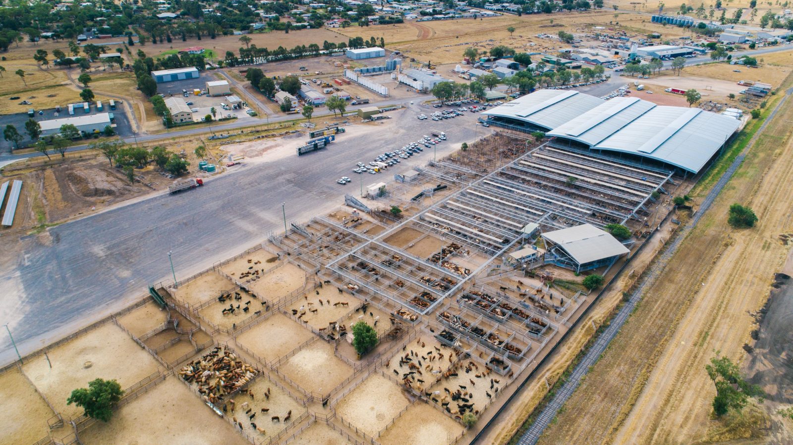 Great aerial image of the saleyards.
