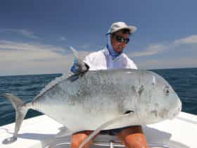 a really nice giant trevally caught and released on a surface lure.