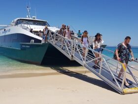 Freedom Fast Cats spacious vessels departs from Rosslyn Bay to Great Keppel Island